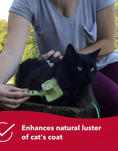 Load image into Gallery viewer, - Safari - Cat Self-Cleaning Slicker Brush - Cat Grooming Supplies
