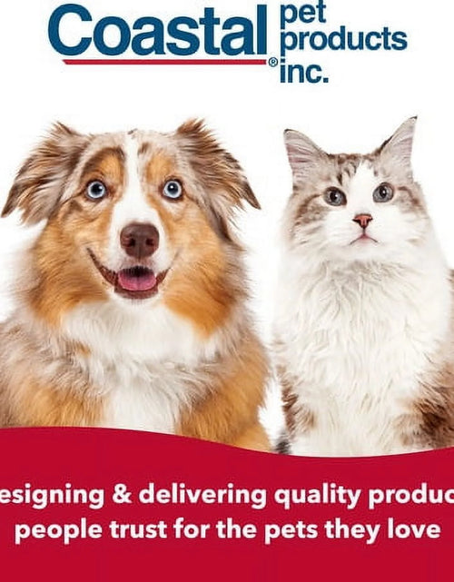 Load image into Gallery viewer, - Safari - Cat Self-Cleaning Slicker Brush - Cat Grooming Supplies
