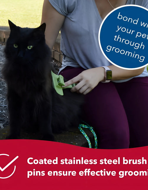 Load image into Gallery viewer, - Safari - Cat Self-Cleaning Slicker Brush - Cat Grooming Supplies
