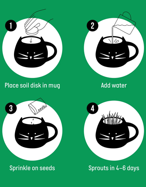 Load image into Gallery viewer, Organic Cat Grass Kit with Black Cat Ceramic Planter, Easy Indoor Planting Gift Set
